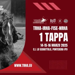 Locandina evento reining marzo 2025